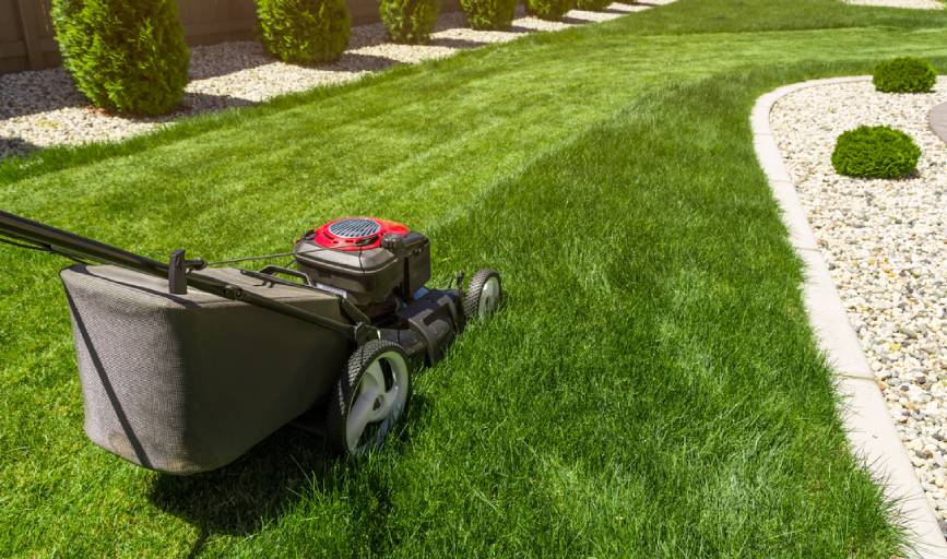 Lawn Mowing